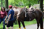 GALLOPNYC-5-22-2022-4264-DDeRosaPhoto