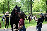 GALLOPNYC-5-22-2022-4267-DDeRosaPhoto