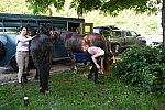 GALLOPNYC-5-22-2022-9364-DDeRosaPhoto