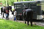 GALLOPNYC-5-22-2022-9419-DDeRosaPhoto