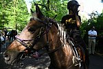 GALLOPNYC-5-22-2022-9445-DDeRosaPhoto
