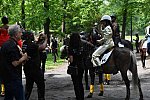 GALLOPNYC-5-22-2022-9477-DDeRosaPhoto