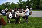 GALLOPNYC-5-22-2022-9598-DDeRosaPhoto