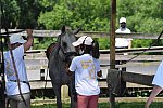 GallopNYC Sunrise-Farm-06-26-22-0934-DDeRosaPhoto