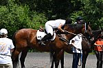 GallopNYC Sunrise-Farm-06-26-22-1032-DDeRosaPhoto