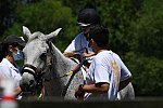 GallopNYC Sunrise-Farm-06-26-22-1065-DDeRosaPhoto