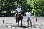 GallopNYC Sunrise-Farm-06-26-22-1415-DDeRosaPhoto