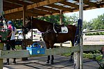 GallopNYC Sunrise-Farm-06-26-22-5204-DDeRosaPhoto