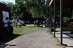GallopNYC Sunrise-Farm-06-26-22-5206-DDeRosaPhoto