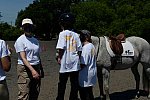 GallopNYC Sunrise-Farm-06-26-22-5210-DDeRosaPhoto