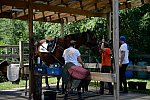 GallopNYC Sunrise-Farm-06-26-22-5255-DDeRosaPhoto