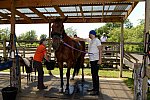 GallopNYC Sunrise-Farm-06-26-22-5272-DDeRosaPhoto