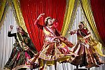 Gurudev1-7-11-14-6286-DDeRosaPhoto