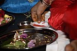 Gurudev1-7-12-14-7290-DDeRosaPhoto