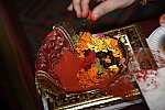 Gurudev1-7-12-14-7441-DDeRosaPhoto