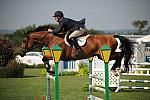 HC09-8-26-09-CavalorOpenJpr-0476-AmoreMio-KennethBerkley-DDeRosaPhoto.JPG