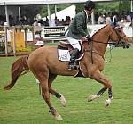 HC09-8-30-09-FTI-GP-0549-HeechhiemsTampa-JimmyTorano-DDeRosaPhoto.jpg
