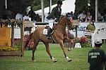 HC09-8-30-09-FTI-GP-0553-HeechhiemsTampa-JimmyTorano-DDeRosaPhoto.jpg