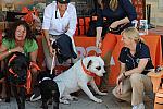 HC09-8-23-09-Celebrity-Dogs-0100-DDeRosaPhoto.jpg