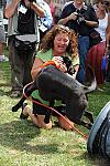 HC09-8-23-09-Celebrity-Dogs-0116-DDeRosaPhoto.jpg