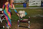 HC09-8-29-09-KidsDay-100-DDeRosaPhoto.jpg