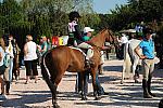 HC-10-29-10_0503-DDeRosaPhoto.jpg