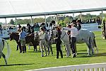 HC-10-29-10_0511-DDeRosaPhoto.jpg