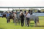 HC-10-29-10_0513-DDeRosaPhoto.jpg