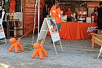 HC-10-29-10_0520-DDeRosaPhoto.jpg