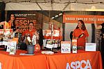 HC-10-29-10_0521-DDeRosaPhoto.jpg