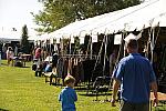HC-10-29-10_0532-DDeRosaPhoto.jpg