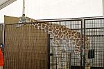 HC-10-29-10_0561-DDeRosaPhoto.jpg