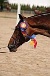 HC-10-29-10_0579-DDeRosaPhoto.jpg