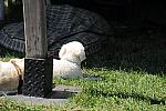 HC-10-29-10_0584-DDeRosaPhoto.jpg