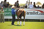 HC-10-29-10_0603-DDeRosaPhoto.jpg