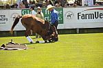 HC-10-29-10_0606-DDeRosaPhoto.jpg