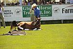 HC-10-29-10_0607-DDeRosaPhoto.jpg