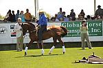 HC-10-29-10_0613-DDeRosaPhoto.jpg