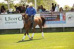HC-10-29-10_0614-DDeRosaPhoto.jpg
