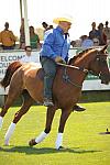 HC-10-29-10_0616-DDeRosaPhoto.jpg