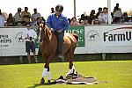HC-10-29-10_0625-DDeRosaPhoto.jpg