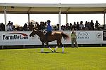 HC-10-29-10_0627-DDeRosaPhoto.jpg