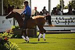 HC-10-29-10_0629-DDeRosaPhoto.jpg