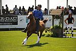 HC-10-29-10_0635-DDeRosaPhoto.jpg