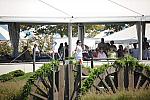 HC-10-29-10_0687-DDeRosaPhoto.jpg