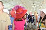 HC-9-4-11-0650-DDeRosaPhoto.JPG
