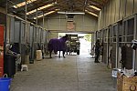 HHB2-10-13-12-0037-DDeRosaPhoto