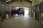 HHB2-10-13-12-0041-DDeRosaPhoto