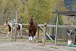 HHB2-10-13-12-0800-DDeRosaPhoto