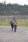 HHB1-10-13-12-9334-DDeRosaPhoto